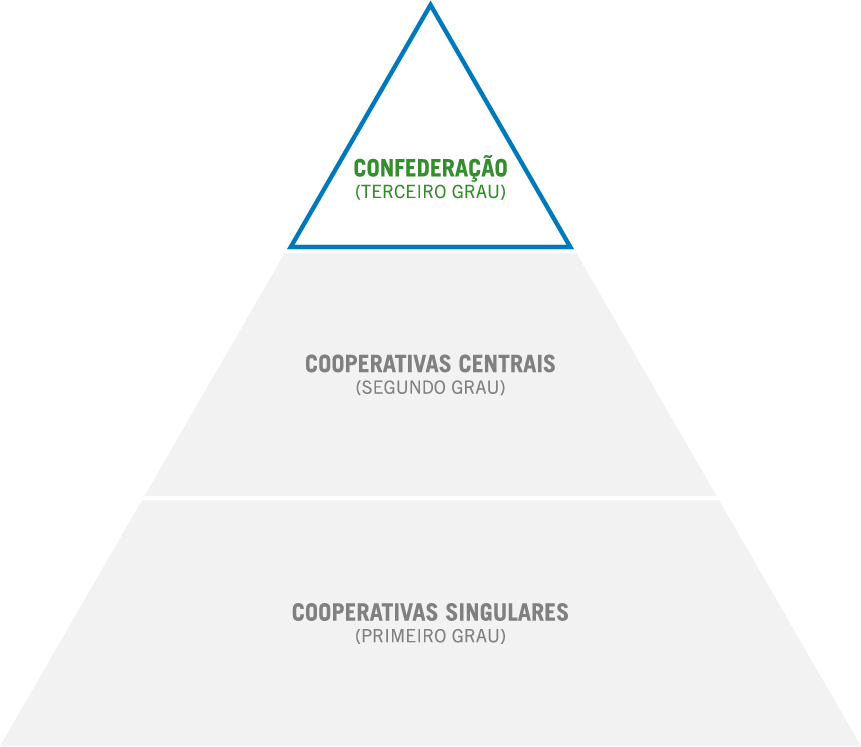 CONFEDERAÇÃO OU COOPERATIVA DE 3º GRAU