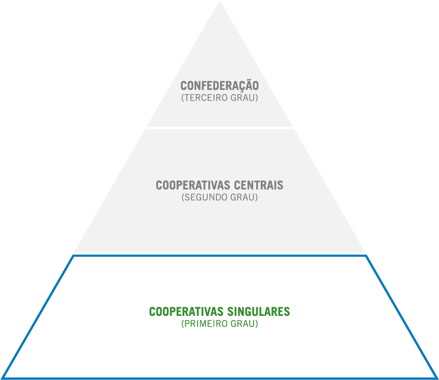 COOPERATIVA SINGULAR OU DE 1º GRAU